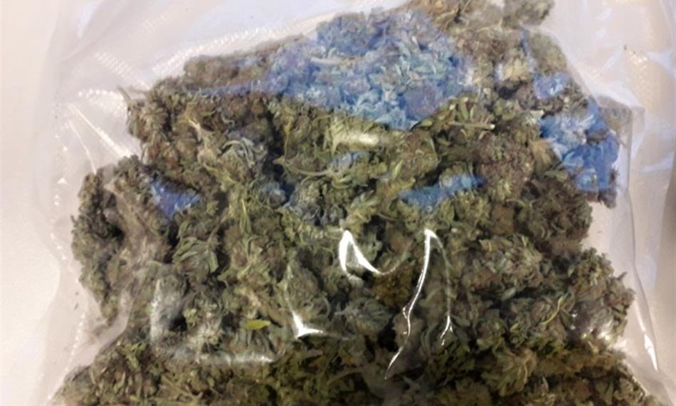 vrcholíky technického konopí